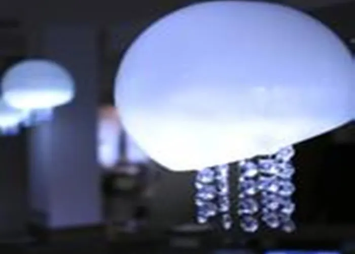 Trzy Sosny מלון שצ'קלארסקה פוראובה